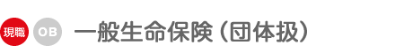 一般生命保険(団体扱)