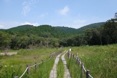 夏〜秋のハイキングにおすすめ！〜葦毛湿原を歩いてみました〜