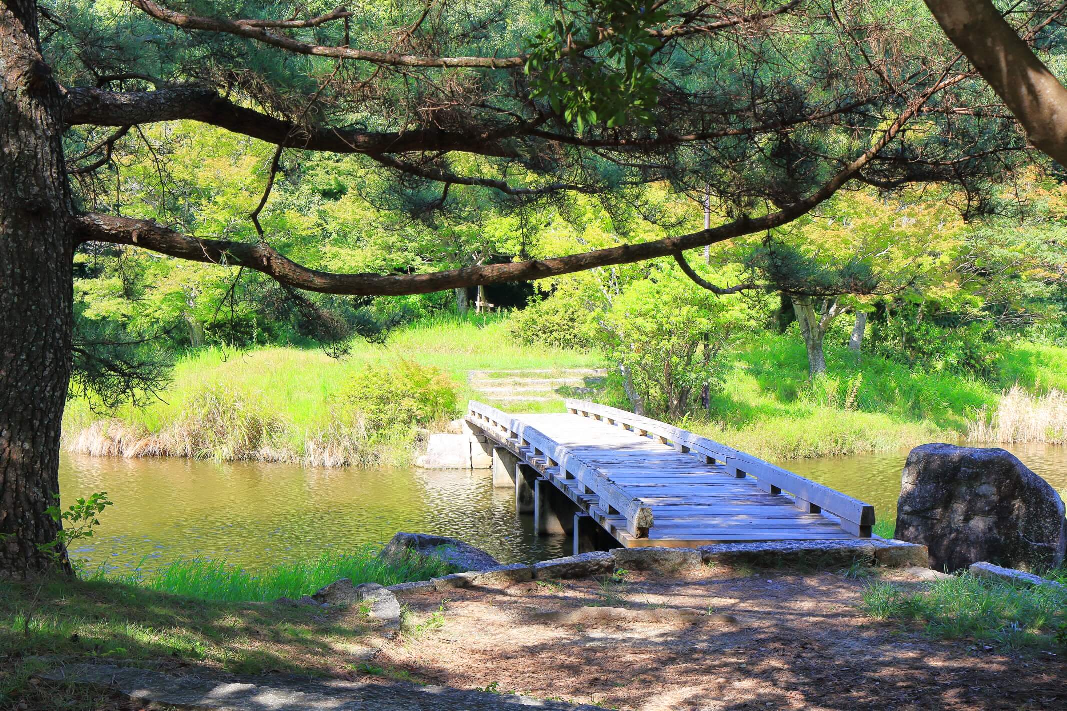 ＼佐鳴湖公園に行ってみた／