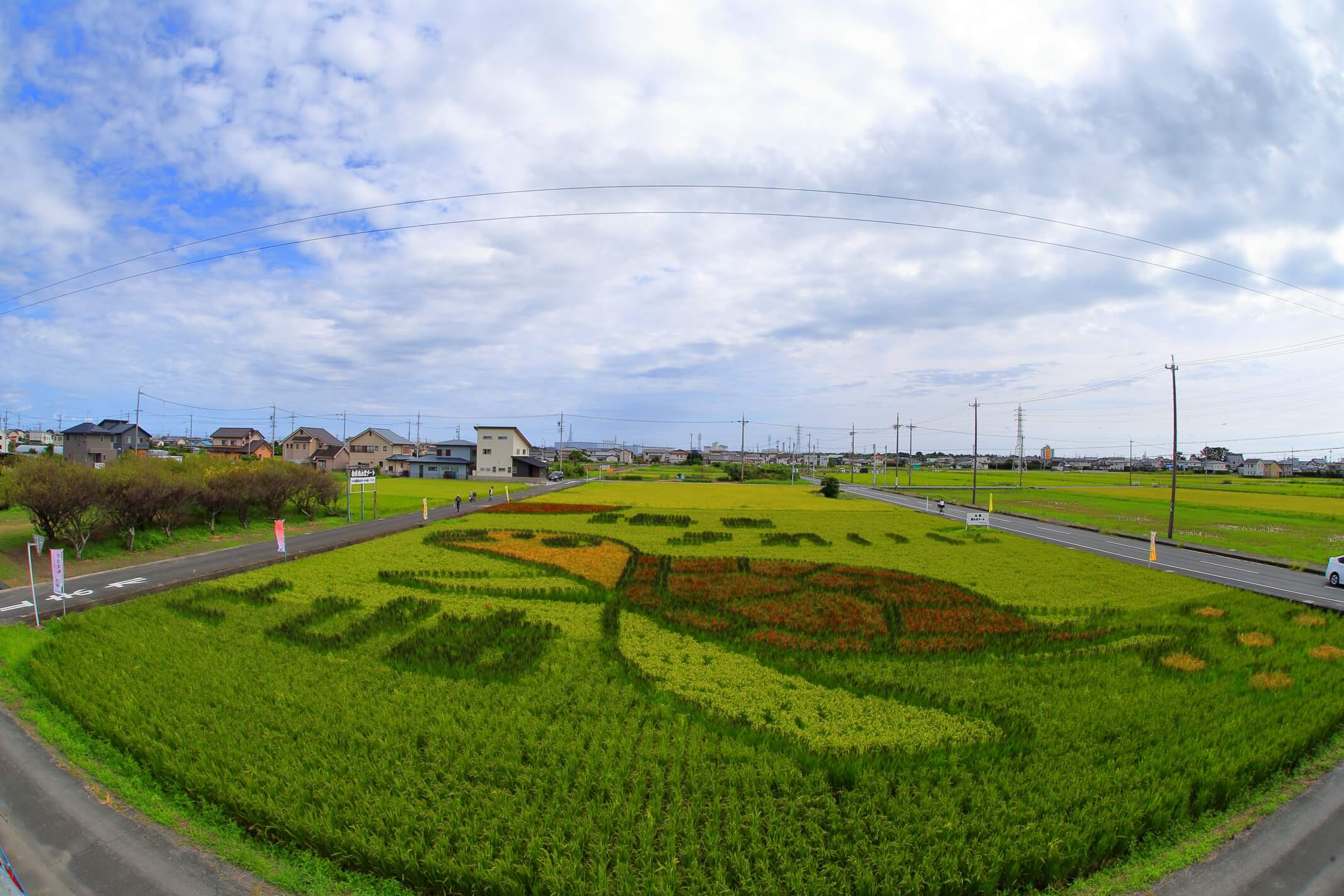 ＼白脇　田んぼアートをみてきた／