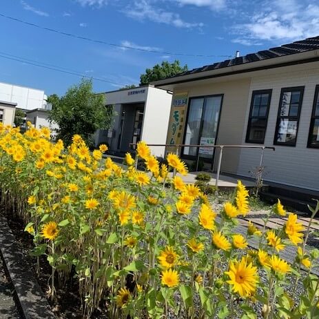 夏期休暇とひまわり