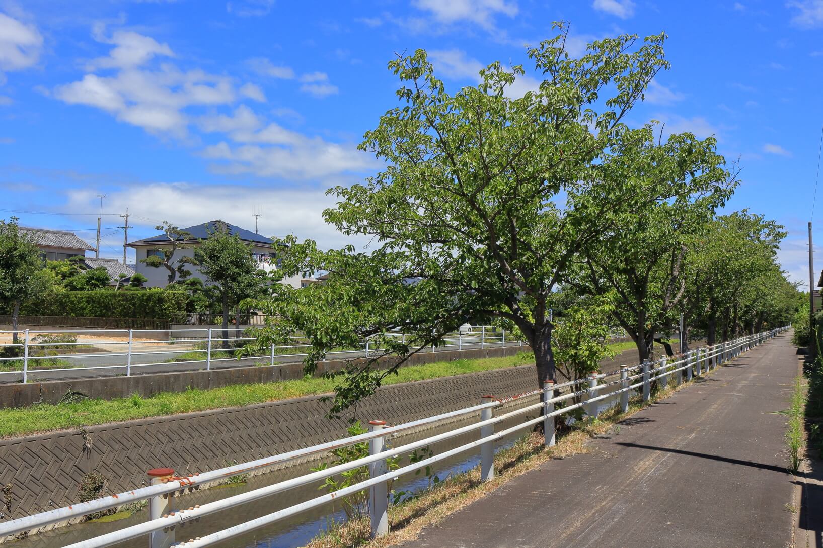 残暑お見舞い申し上げます