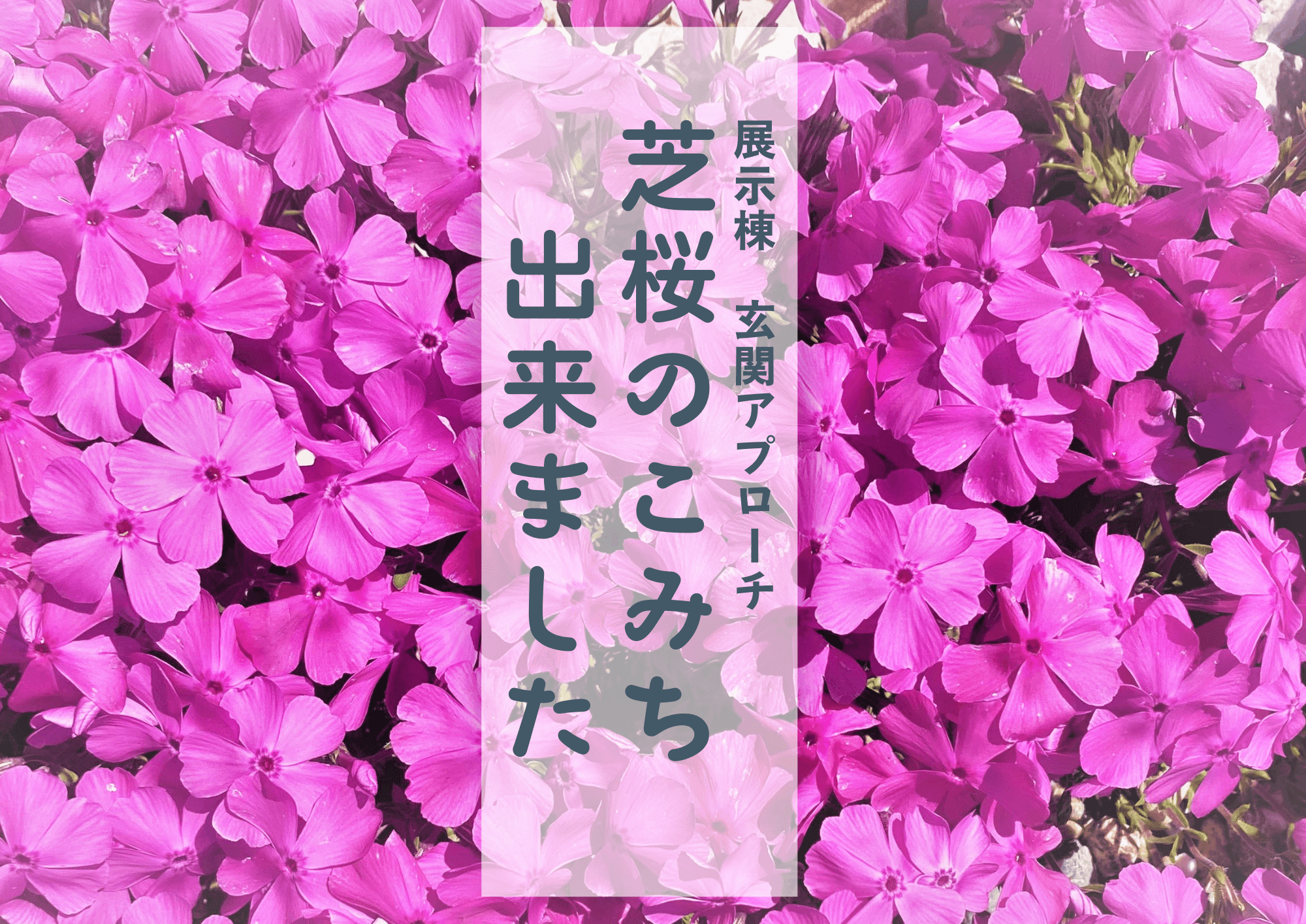 こんなアプローチはいかがですか？