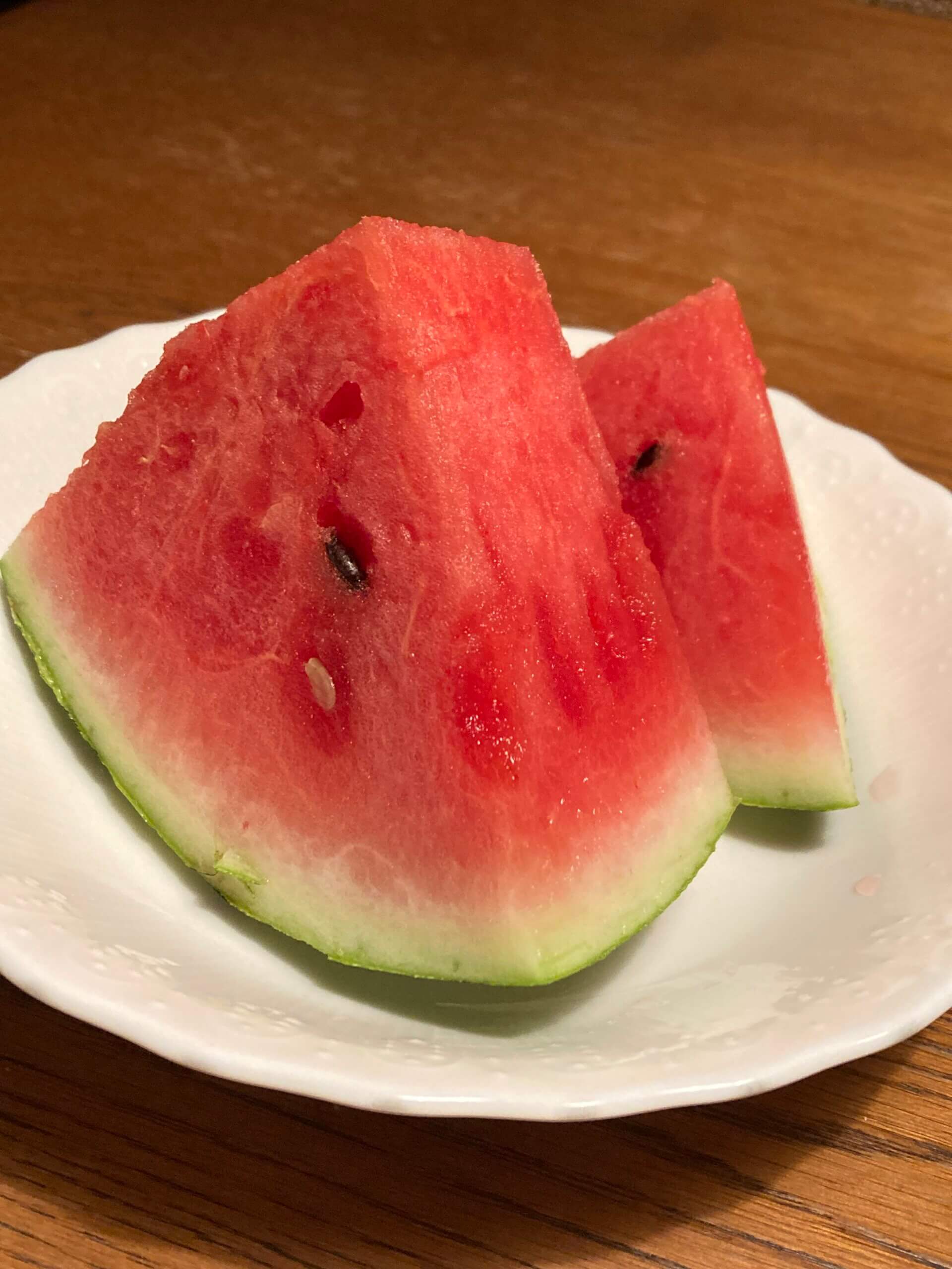 夏季休業のお知らせ