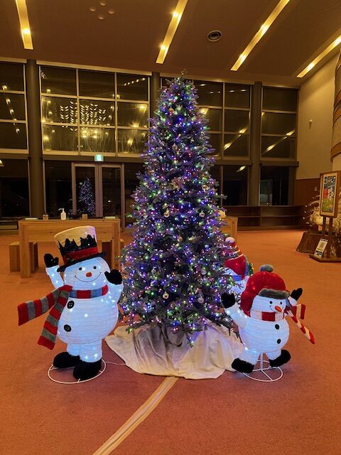 クリスマスツリーが飾られました。