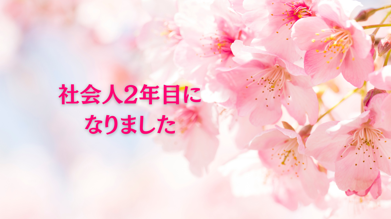 【社会人2年目】🌸新たなスタート🌸