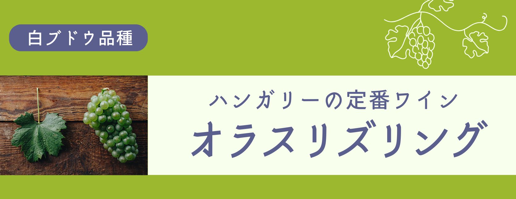 ハンガリーワインの豆知識